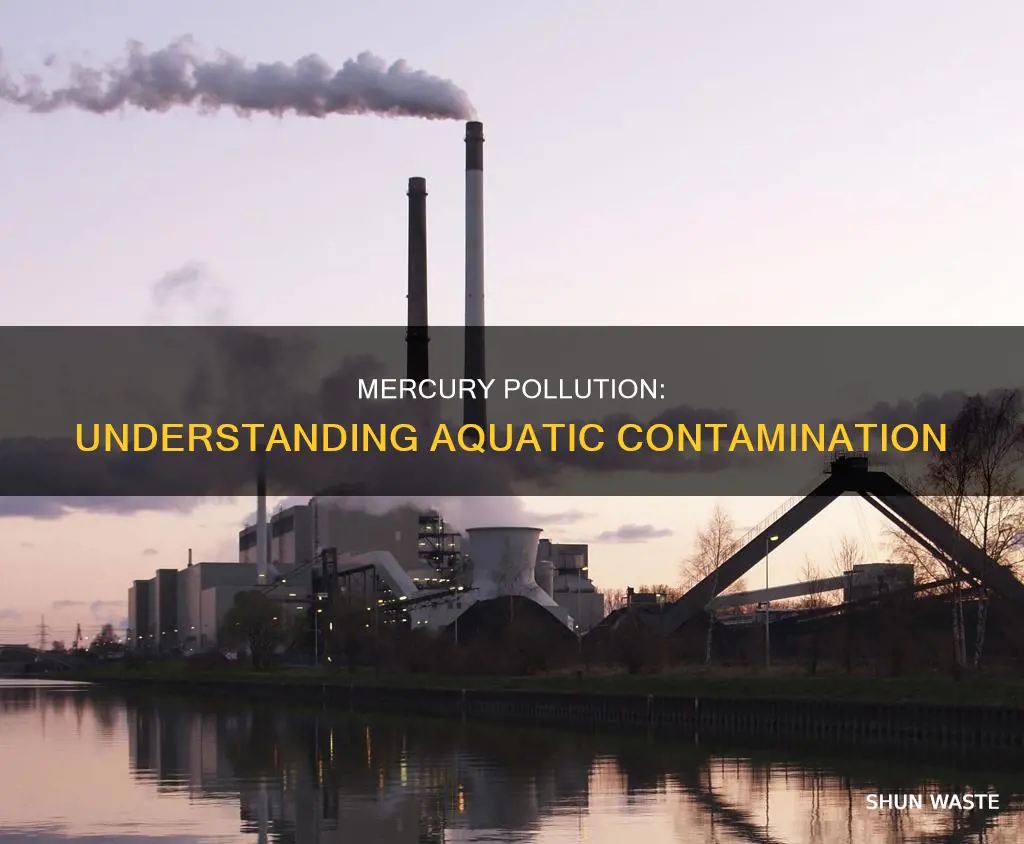 what is mercury pollution of water