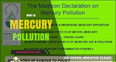 Mercury Pollution: Understanding the Toxic Threat