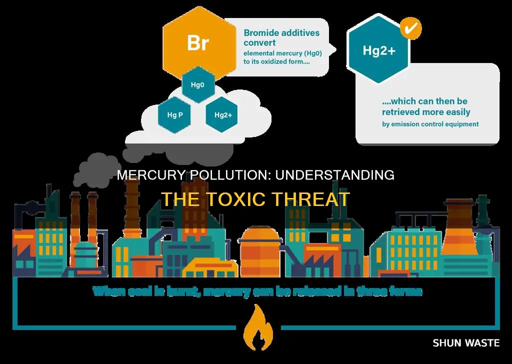 what is mercury pollution