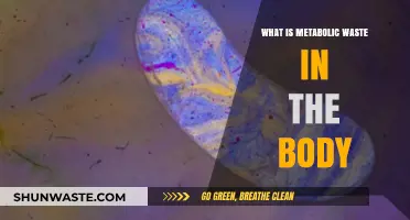Understanding Metabolic Waste: How Your Body Eliminates Cellular Byproducts