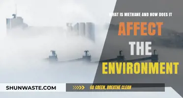 Methane's Impact: Understanding Its Role in Environmental Changes