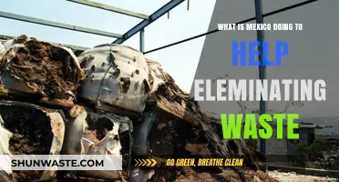 Mexico's Innovative Strategies to Tackle Waste Elimination and Sustainability