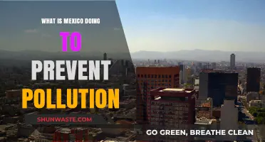 Mexico's Battle Against Pollution: Strategies and Initiatives