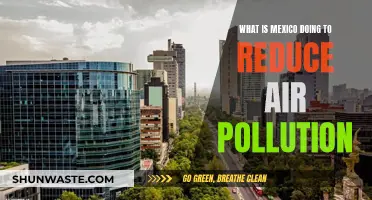 Mexico's Battle Against Air Pollution: Strategies and Initiatives