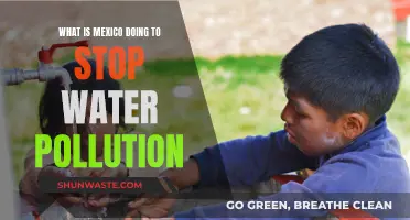 Mexico's Water Warriors: Strategies to Combat Pollution