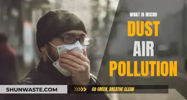 Microscopic Dust: A Dangerous Air Pollutant