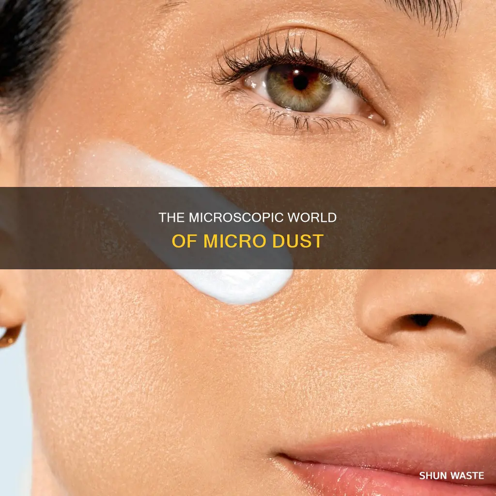 what is micro dust