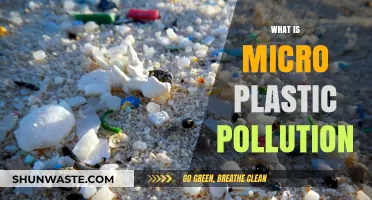 The Hidden Microplastic Pollution Crisis