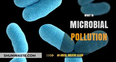 Microbial Pollution: Understanding the Invisible Contaminants