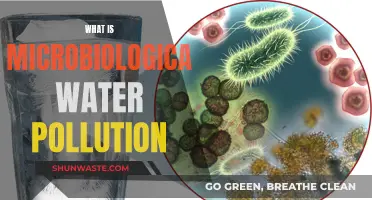 Unveiling the Hidden Threat: Understanding Microbiological Water Pollution