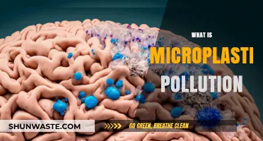 Microplastic Pollution: Understanding the Tiny Threat