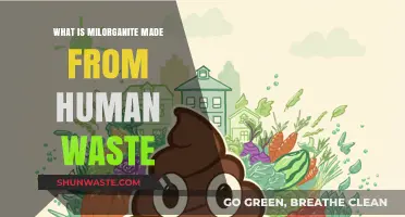 Milorganite's Surprising Origin: Human Waste to Fertilizer Transformation