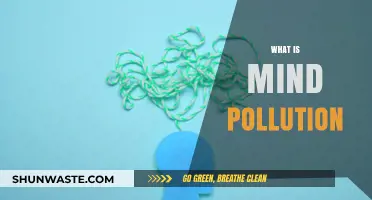 Mind Pollution: The Toxicity of Negative Thoughts