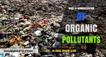 Mineralization of Organic Pollutants: Nature's Detox Process