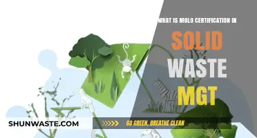 Understanding Molo Certification in Solid Waste Management: Benefits and Process