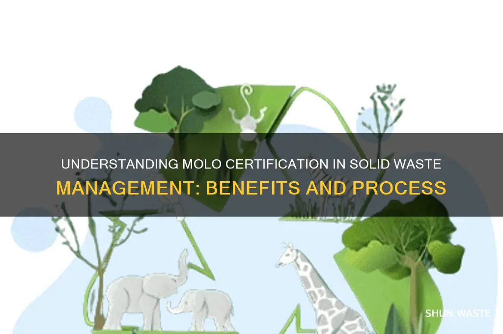 what is molo certification in solid waste mgt