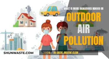 Indoor vs Outdoor: Which Air Pollution is More Deadly?