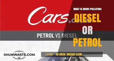 Diesel vs Petrol: Which Fuel is More Polluting?