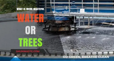 Water vs. Trees: Which Resource Wastes More in Our World?