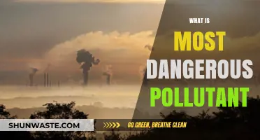 Deadly Pollutants: The Most Dangerous Toxins in Our Environment