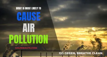 Air Pollution: The Main Culprits and Their Impact
