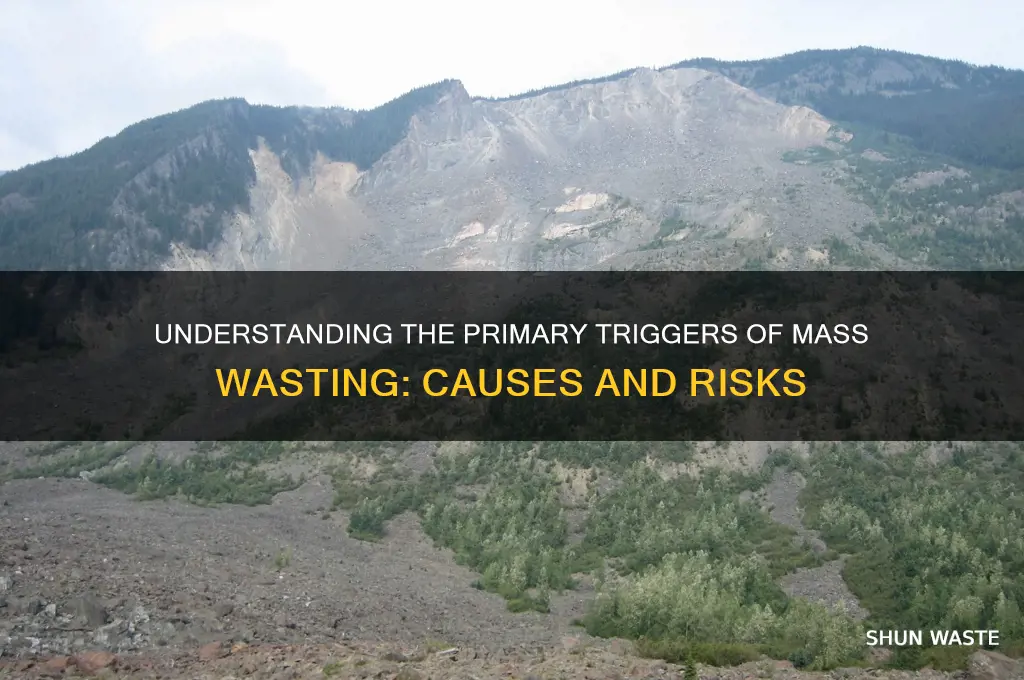 what is most likely to cause mass wasting