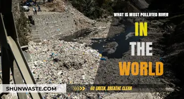 The World's Most Polluted River: A Toxic Legacy