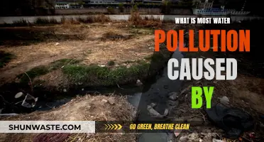 Unveiling the Hidden Causes: Understanding Water Pollution's Origins