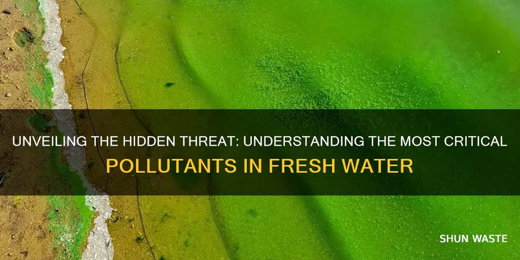 what is mostcritical pollution to fresh water