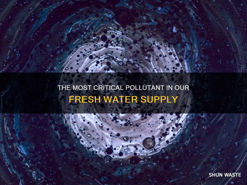 what is mostcritical pollution to fresh water