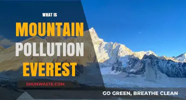 Everest's Pollution Problem: A Climber's Perspective