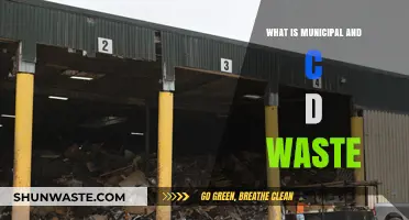 Understanding Municipal and C&D Waste: Types, Management, and Recycling