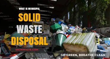 Effective Municipal Solid Waste Disposal: Strategies for a Cleaner Environment