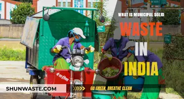 Understanding India's Municipal Solid Waste: Sources, Challenges, and Solutions