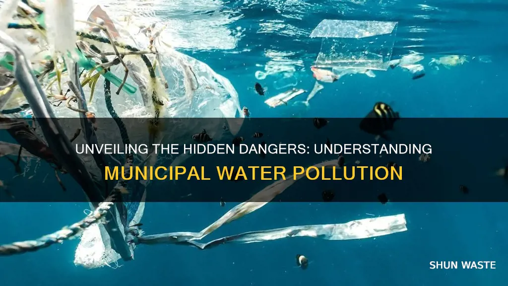 what is municipal water pollution