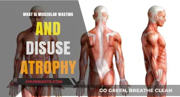 Understanding Muscular Wasting and Disuse Atrophy: Causes, Effects, and Prevention