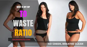 Understanding Your Hip-to-Waist Ratio: A Key Health Indicator