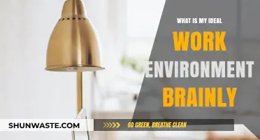 Discover Your Perfect Work Environment: Tips and Insights for Success