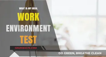 Discover Your Perfect Work Environment: Take the Ideal Workplace Test