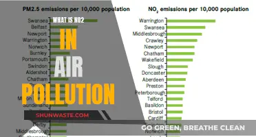 Air Pollution's N02: What You Need to Know