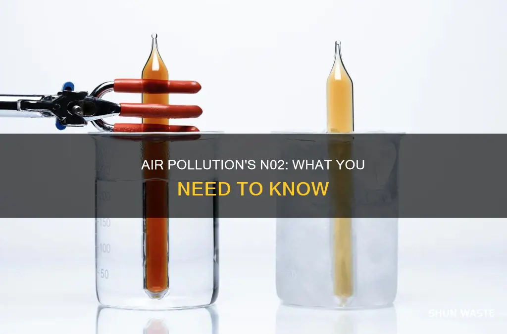 what is n02 in air pollution