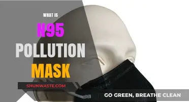 N95 Masks: Breathe Easy in Pollution