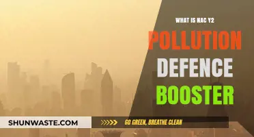 NAC Y2: Pollution Defence Booster Explained