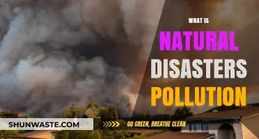 Nature's Fury: Pollution and Disasters