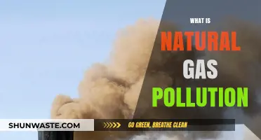 Natural Gas: A Polluting Power Source?