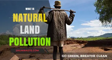 Nature's Pollution: What's Harming Our Land?