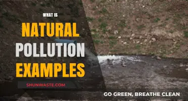 Nature's Pollution: Unseen and Unheard Killers