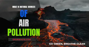 Natural Air Pollutants: Sources and Their Impact