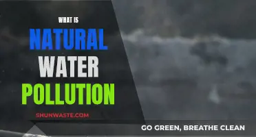 Understanding Natural Water Pollution: Causes and Effects