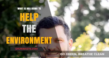 NBA's Green Initiatives: How the League is Supporting Environmental Sustainability